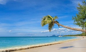 plage sud martinique