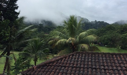 végétation luxuriante du Costa Rica